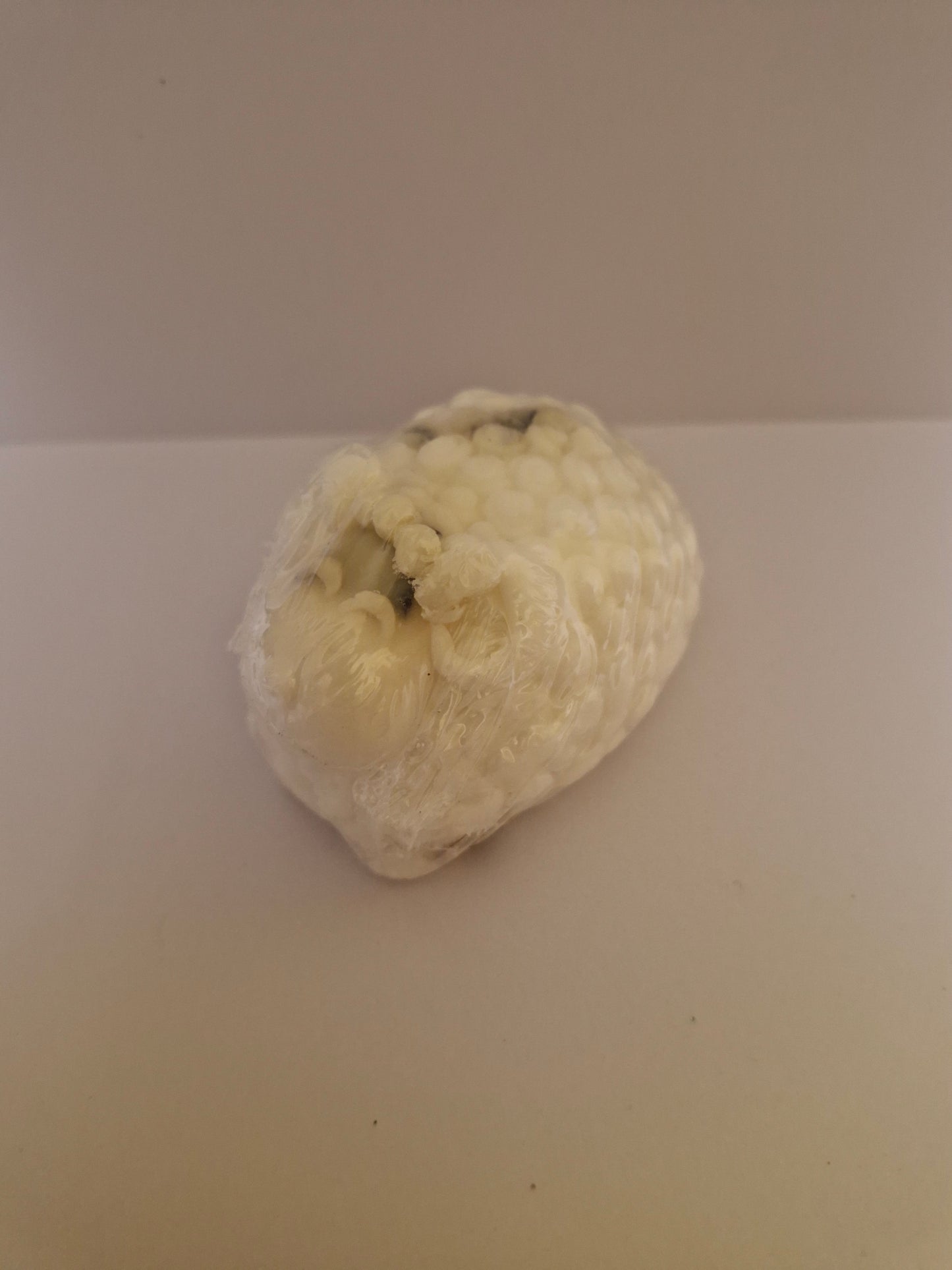 Seaweed soap