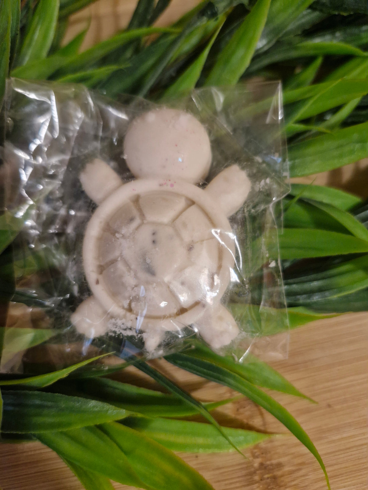 Seaweed Turtle Soap