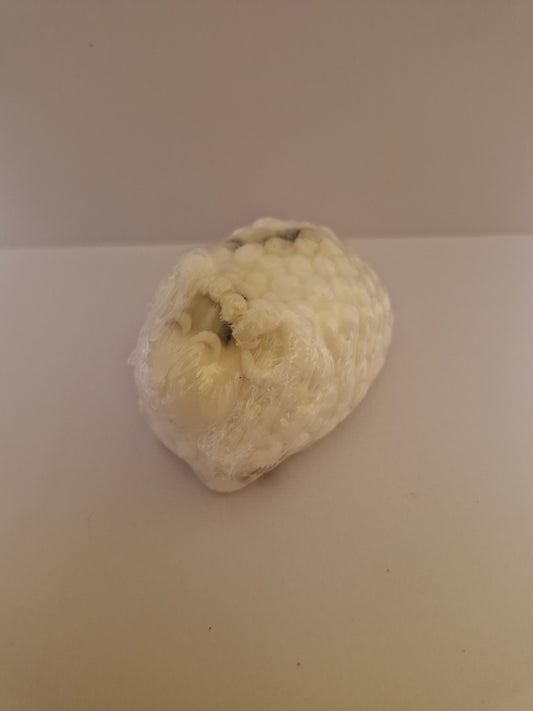 Seaweed soap