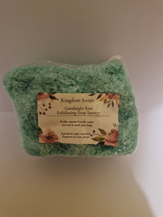 Goodnight kiss soap sponge