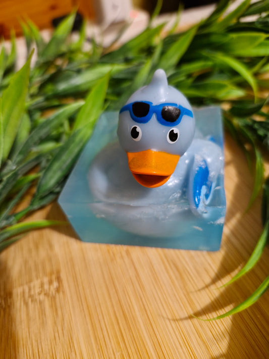 Duck soap