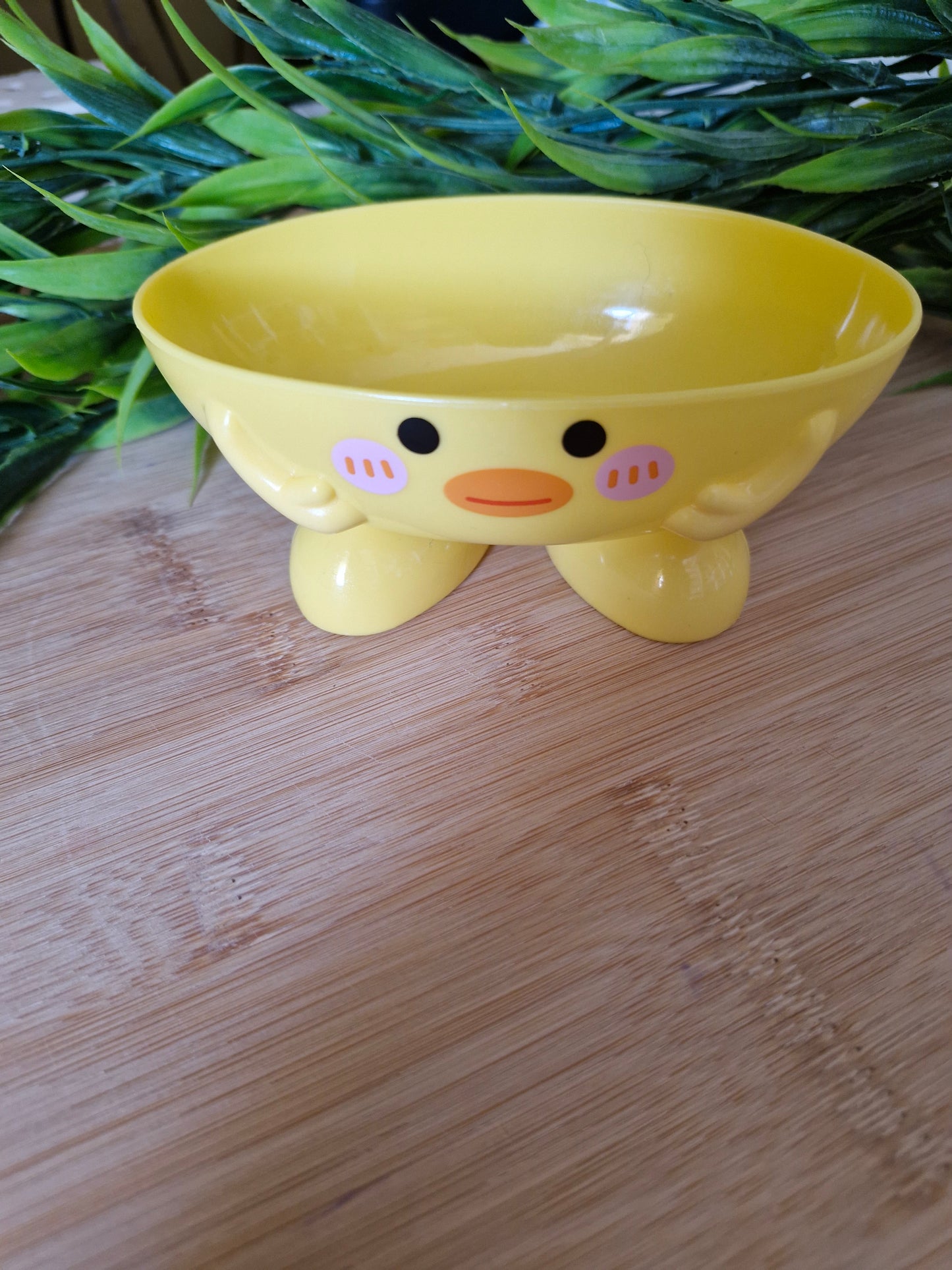 Soap dish